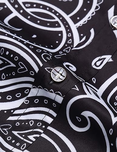 Vista 5 de Daupanzees Camisa casual de manga larga de algodón Paisley para hombre