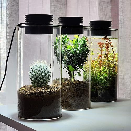 Miniatura 5 de Terrario de plantas de vidrio de escritorio con luz de cultivo (H: 7.8 pulgadas de diámetro: 4 pulgadas), para suculentas, musgo, paisaje de