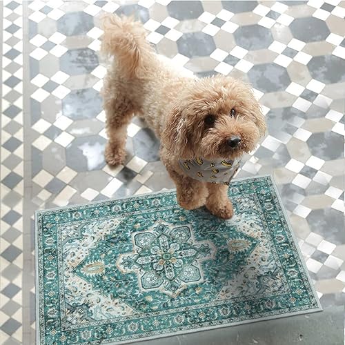 Miniatura 7 de Collive Tapete lavable para interiores, tapete retro antideslizante de 20 x 32 pulgadas, tapete pequeño verde de absorción rápida, tapete de entrada