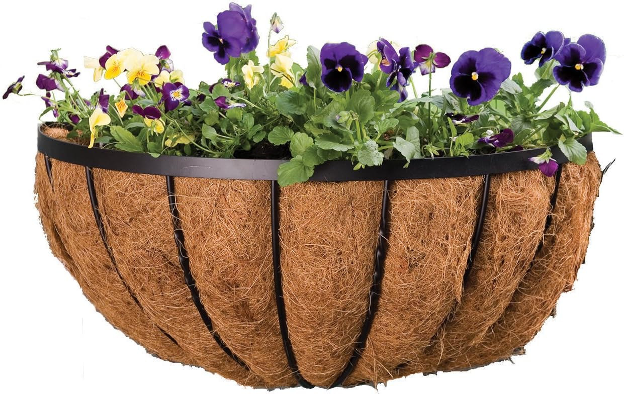 Panacea 88539 Cotswold Series Wall Planter, Black, 16-Inch