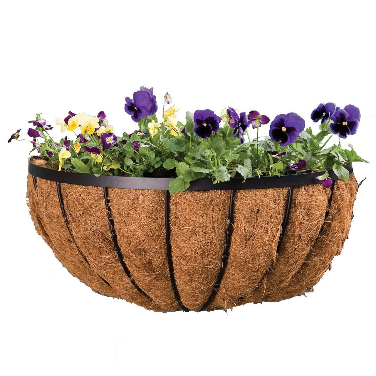 Amazon.com: Panacea 88539 Cotswold Series Wall Planter, Black, 16