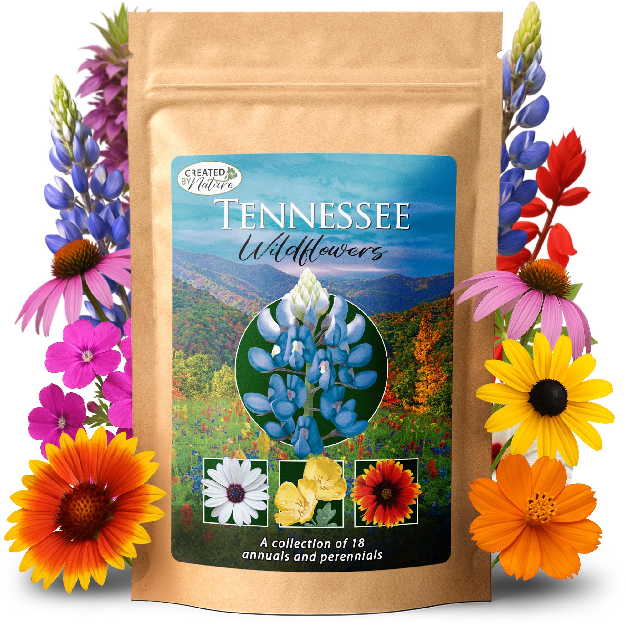 Amazon.com : Created By Nature Tennessee Wildflower Seed Mix, 18
