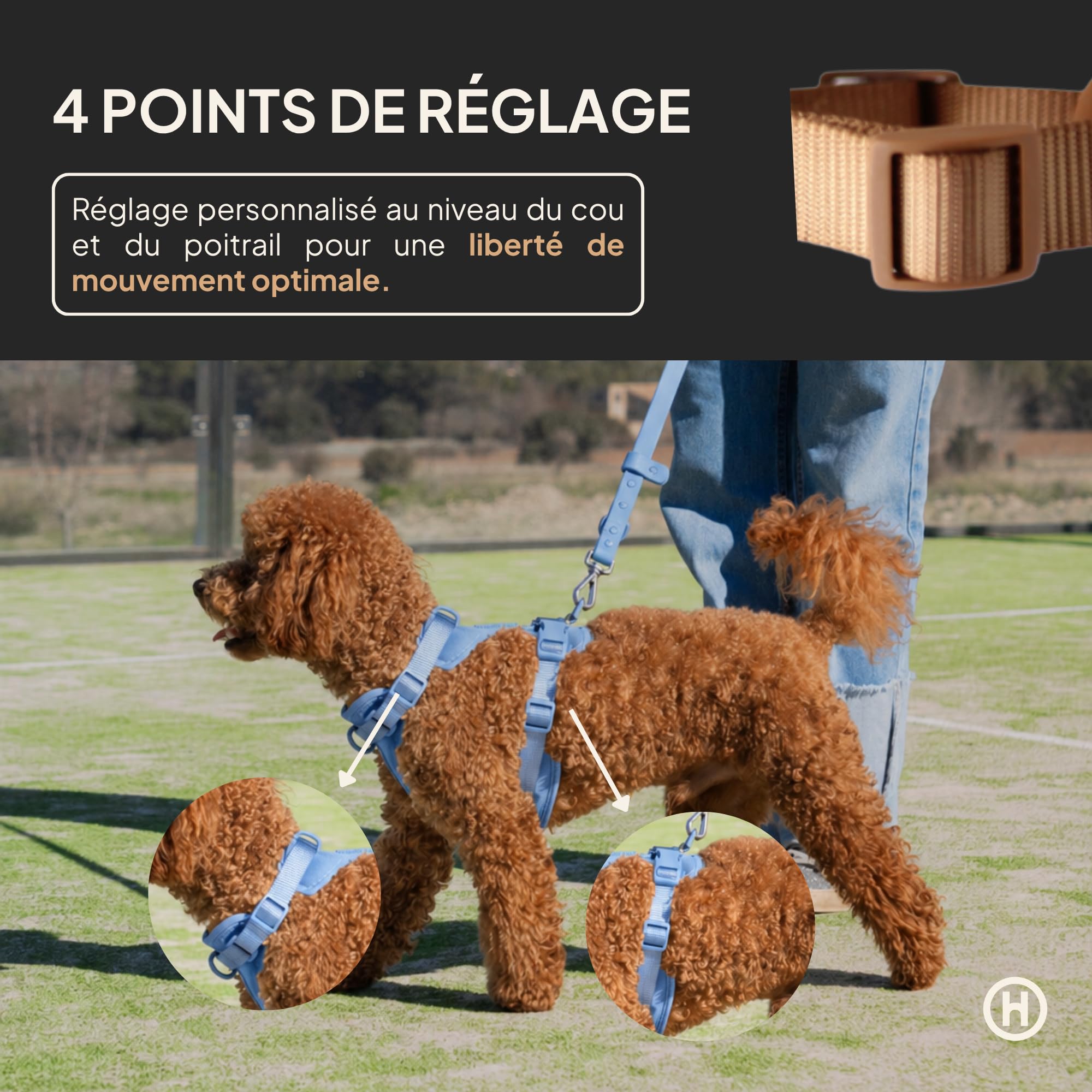 Harnais pour Chiens de Grande Taille Moyenne et Petite, Harnais rembourré, Anti-Traction, Confortable et réglable pour Animaux de Compagnie, Couleur Sky, Taille L
