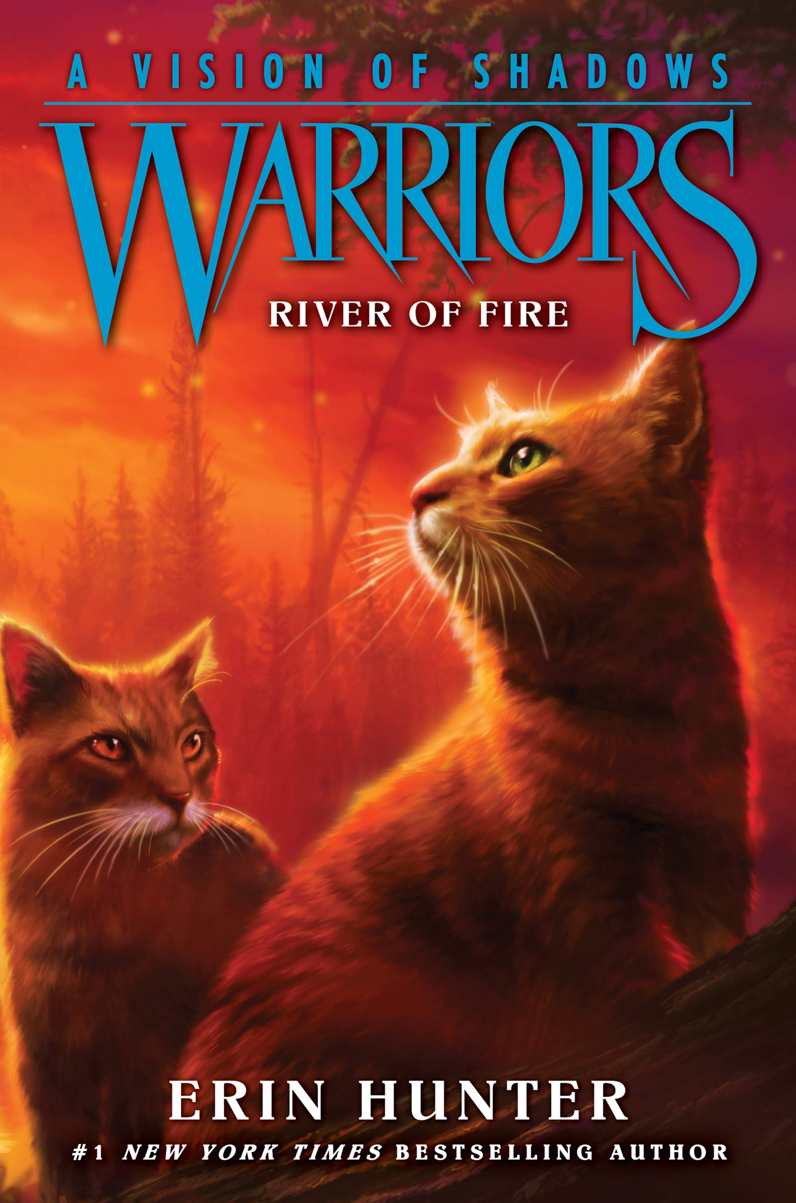 HarperCollins Warriors: A Vision of Shadows #5: River of Fire