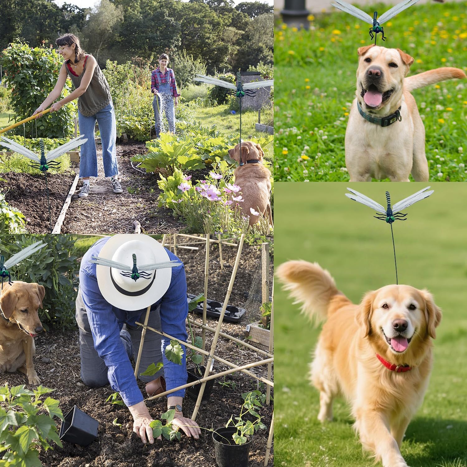 8 Pack Dragonfly Clip Dragonfly Clips Black Dragon Fly Hat Clip Artificial Realistic 3D Dragonflies Garden Stakes Decor for Indoor Outdoor (4 Dots+4 Stripes Dragonfly) - Image 7