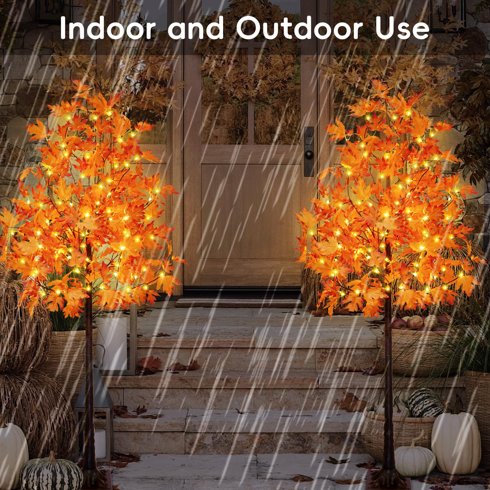 best shoes for disc golf