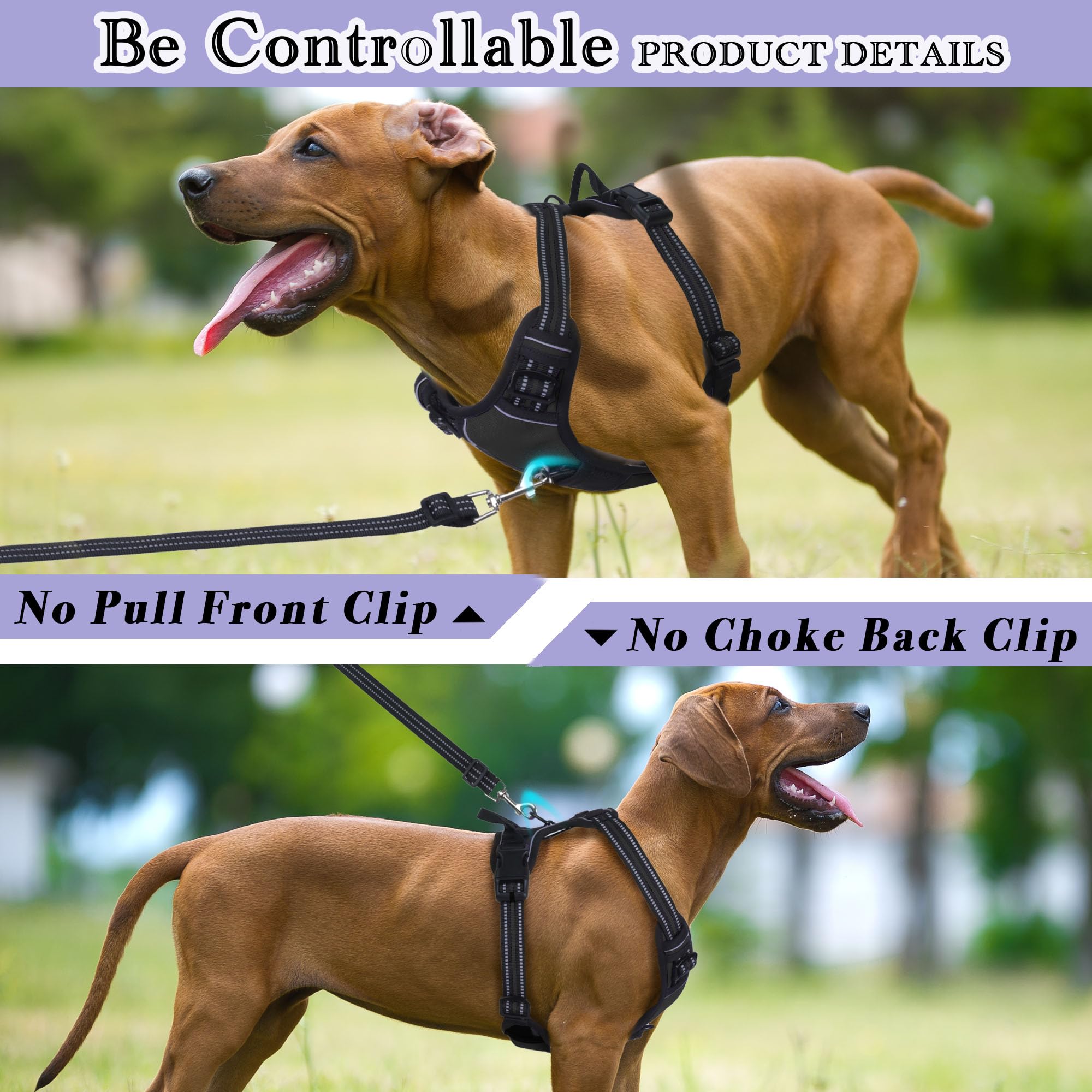 Funfox Dog Harness Large Dog, 2 Clips No Pull Vest Harness Handle Control - Image 3