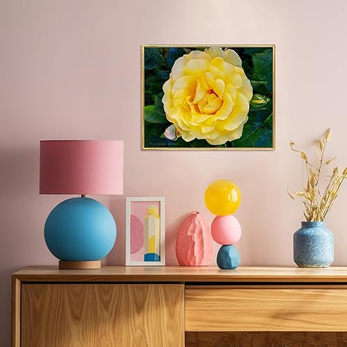 Miniatura 4 de The Virtue of God Impresiones fotográficas, juego de 3 imágenes horizontales de la flor de rosas, lienzo sin marco, tamaños de 10 x 8 a 20 x 16