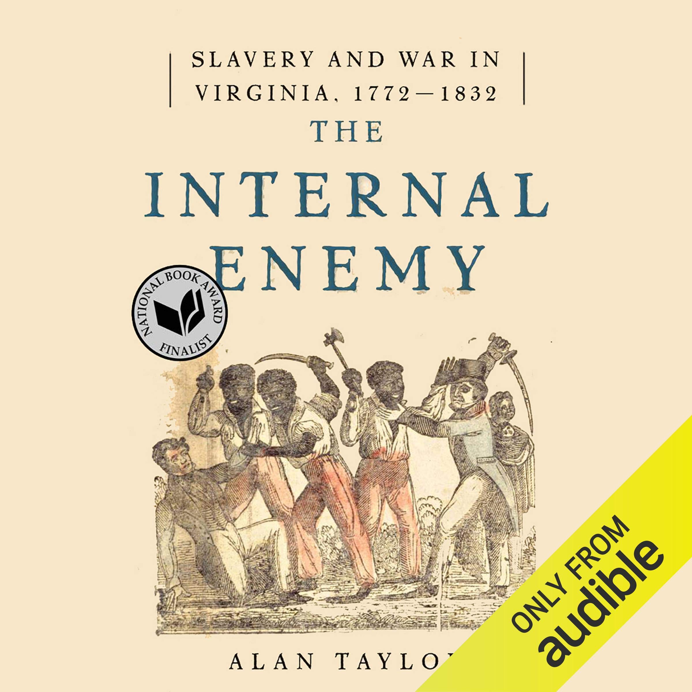Cover art for The Internal Enemy