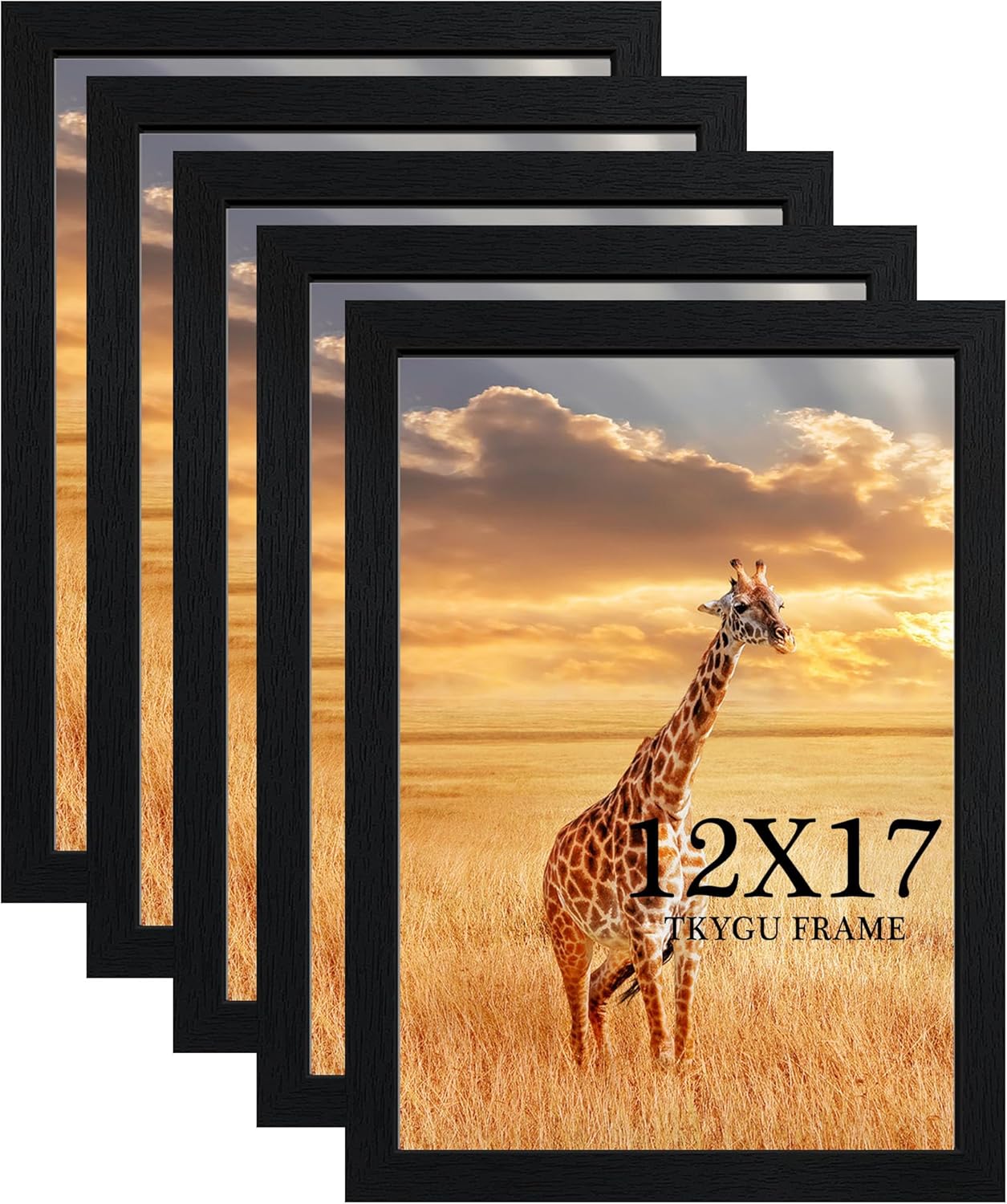 12x17 Picture Frame Set of 5, Wooden Frames with Plexiglass