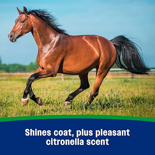 Miniatura 5 de Farnam Wipe II - Aerosol para moscas de caballo con citronela, ayuda de aseo y acondicionador de pelaje, 32 onzas líquidas, botella de un cuarto