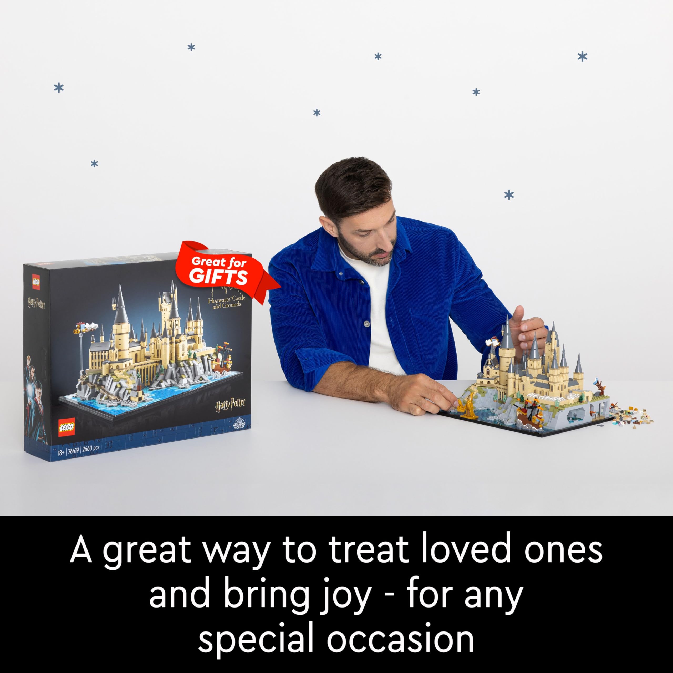 LEGO 76419 Harry Potter Castle and Hogwarts Estate Buildable