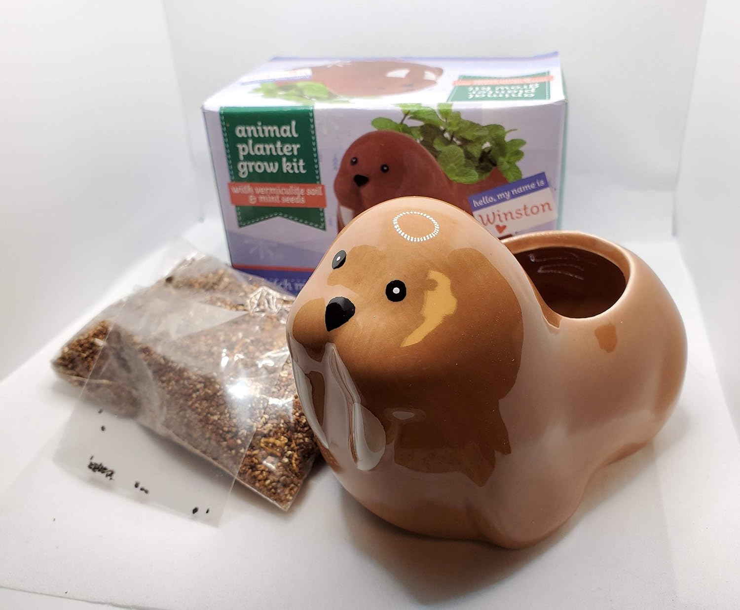 Walrus Pot Cute Ceramic Animals Succulent Planter Succulent Gift (Walrus)…