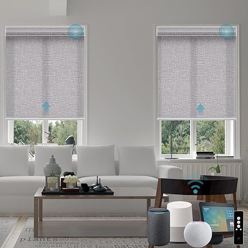 SmartWings 70% Light Filtering Motorized Roller Shades Work with Zigbee Homekit Matter Z-Wave Alexa, Automatic Smart Window Blinds Privacy Cordless with Remote Control, Customized Safari Rock Grey
