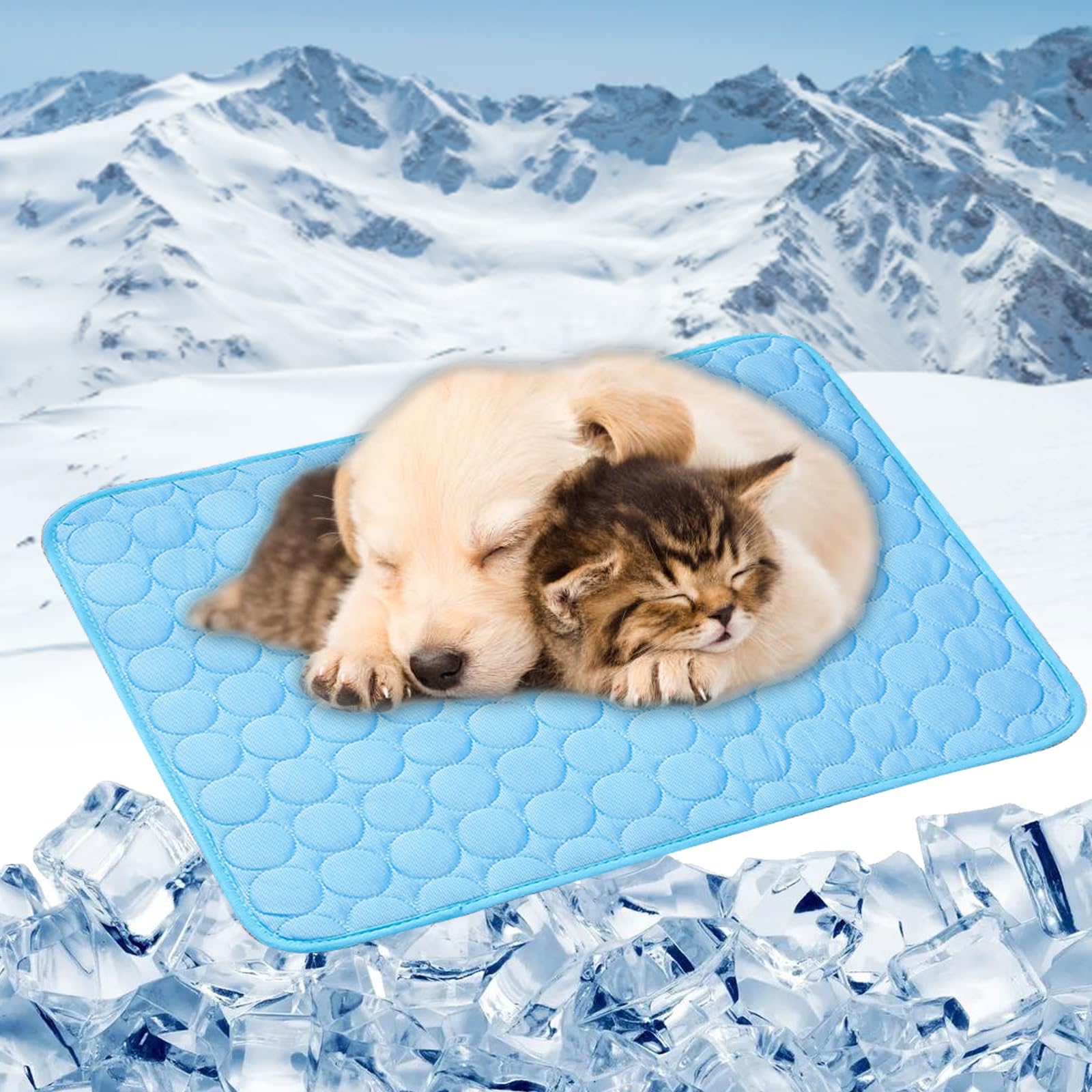 Tapis rafraîchissant chien intérieur et extérieur pour protéger votre animal