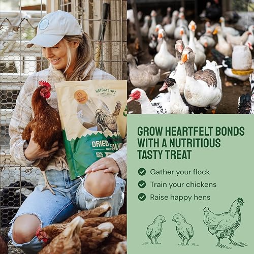 Miniatura 6 de Gusanos de harina secos de 2 libras para aves silvestres y pollos, alimento orgánico prémium sin OMG - Gusanos nutritivos de comida secos con alto