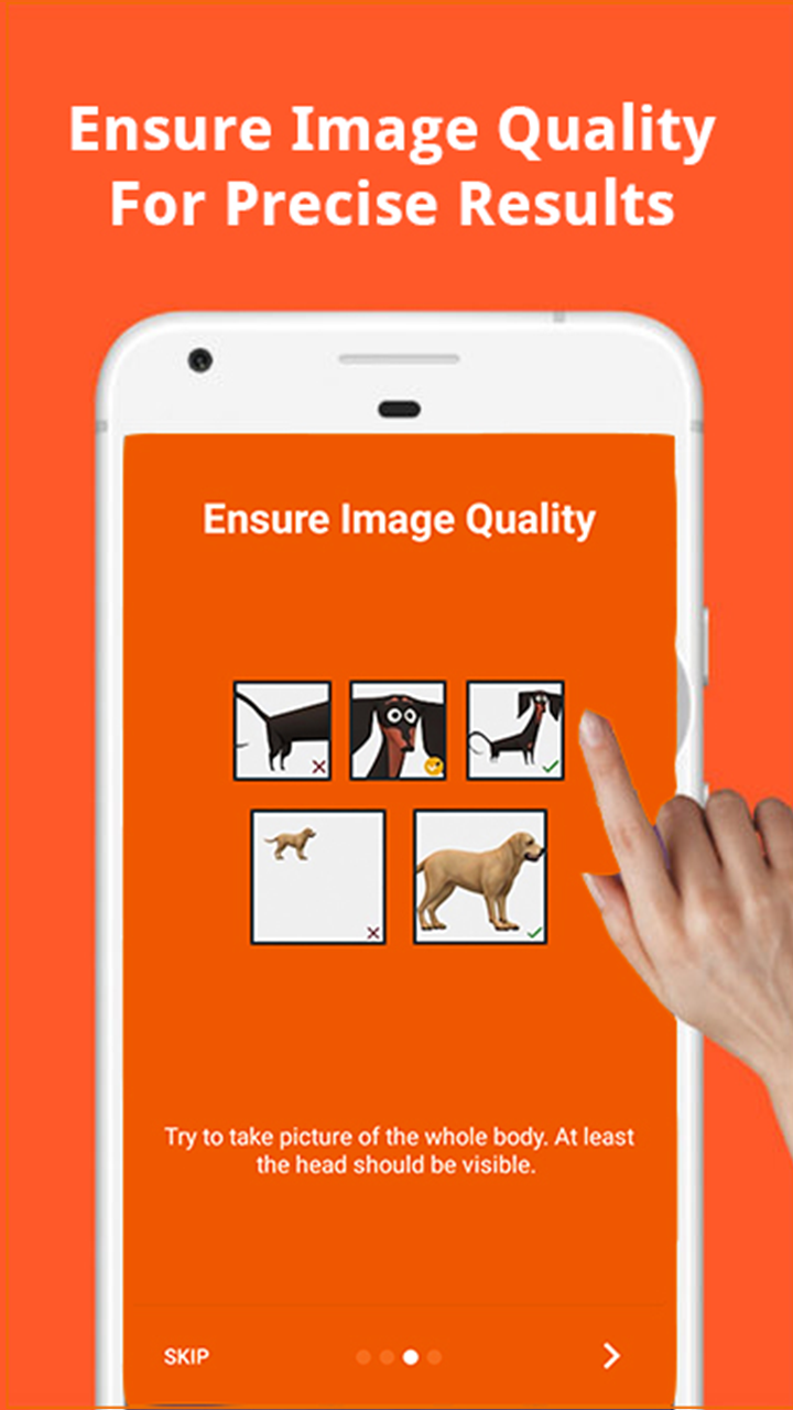 Scan Your Dog Breed A Dog Scanner App App on Amazon Appstore