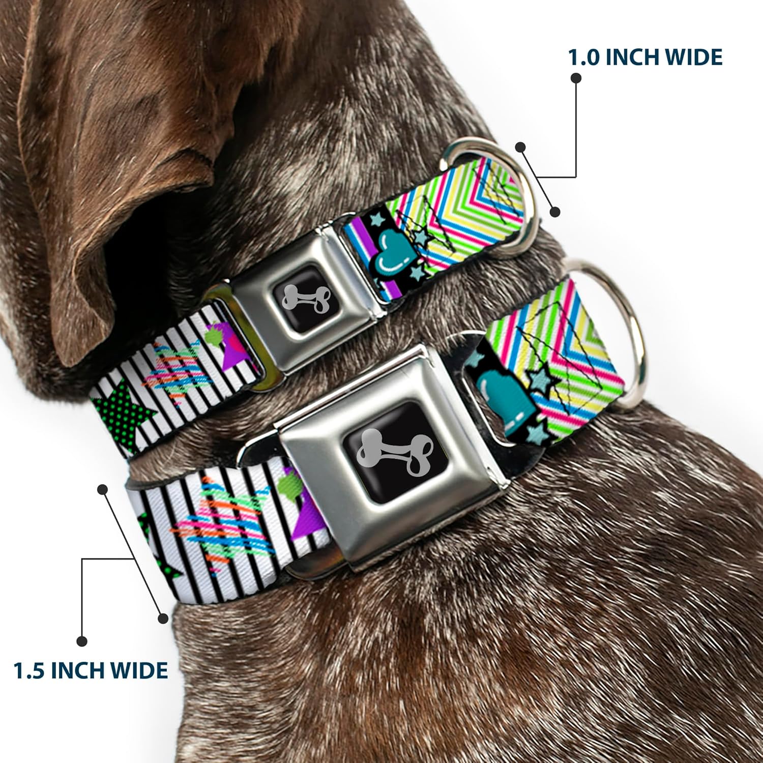 Dog Collar Seatbelt Buckle Icons Patterns 2 11 to 17 Inches 1.0 Inch Wide