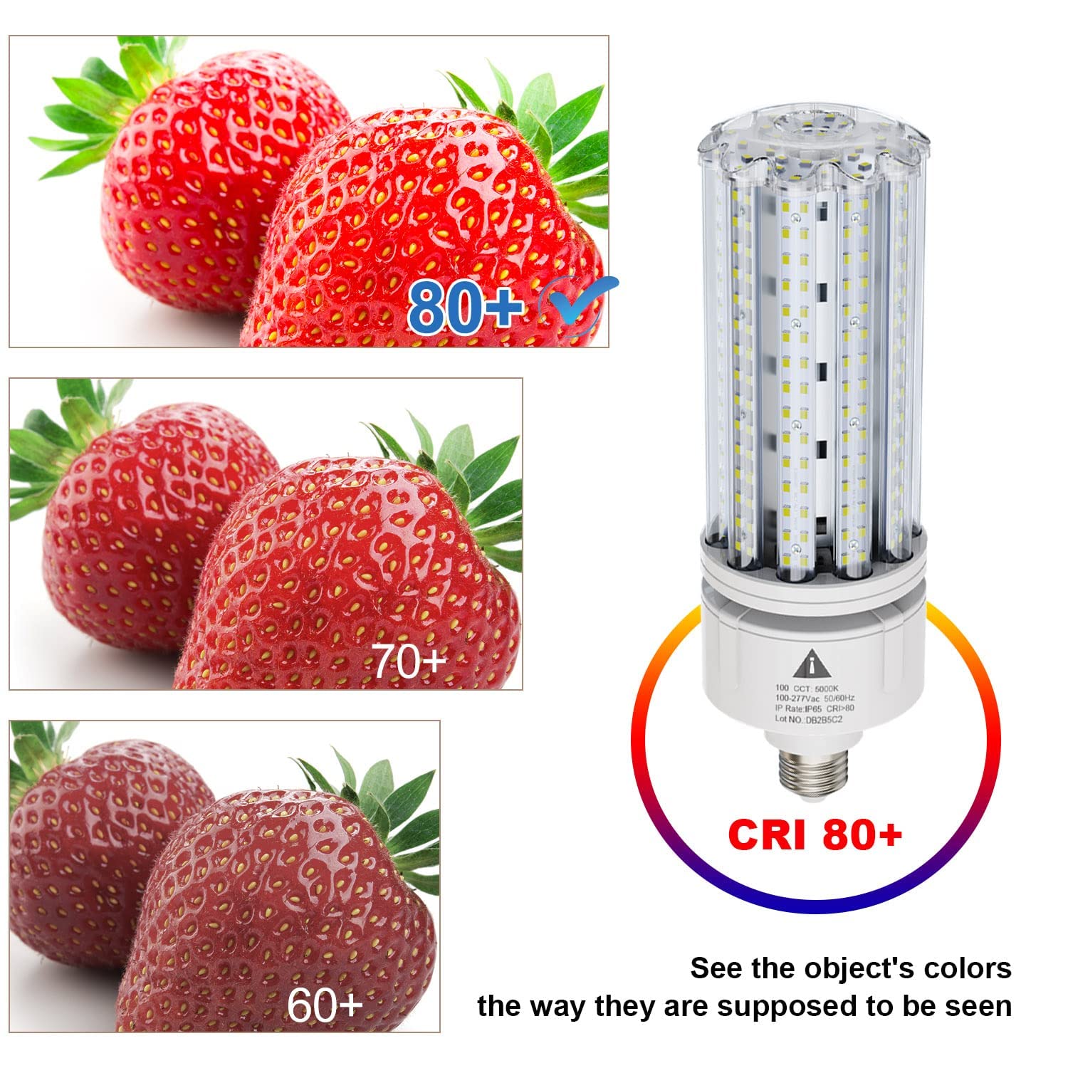 ZP LED Corn Light Bulb 100W Super Bright 15000lm 5000k E26 /E39 Led Corn Bulb, 1000W Equivalent CFL Metal Halogen HID Led Bulb for Outdoor Indoor Area Garage Basement Warehouse (2-Pack)