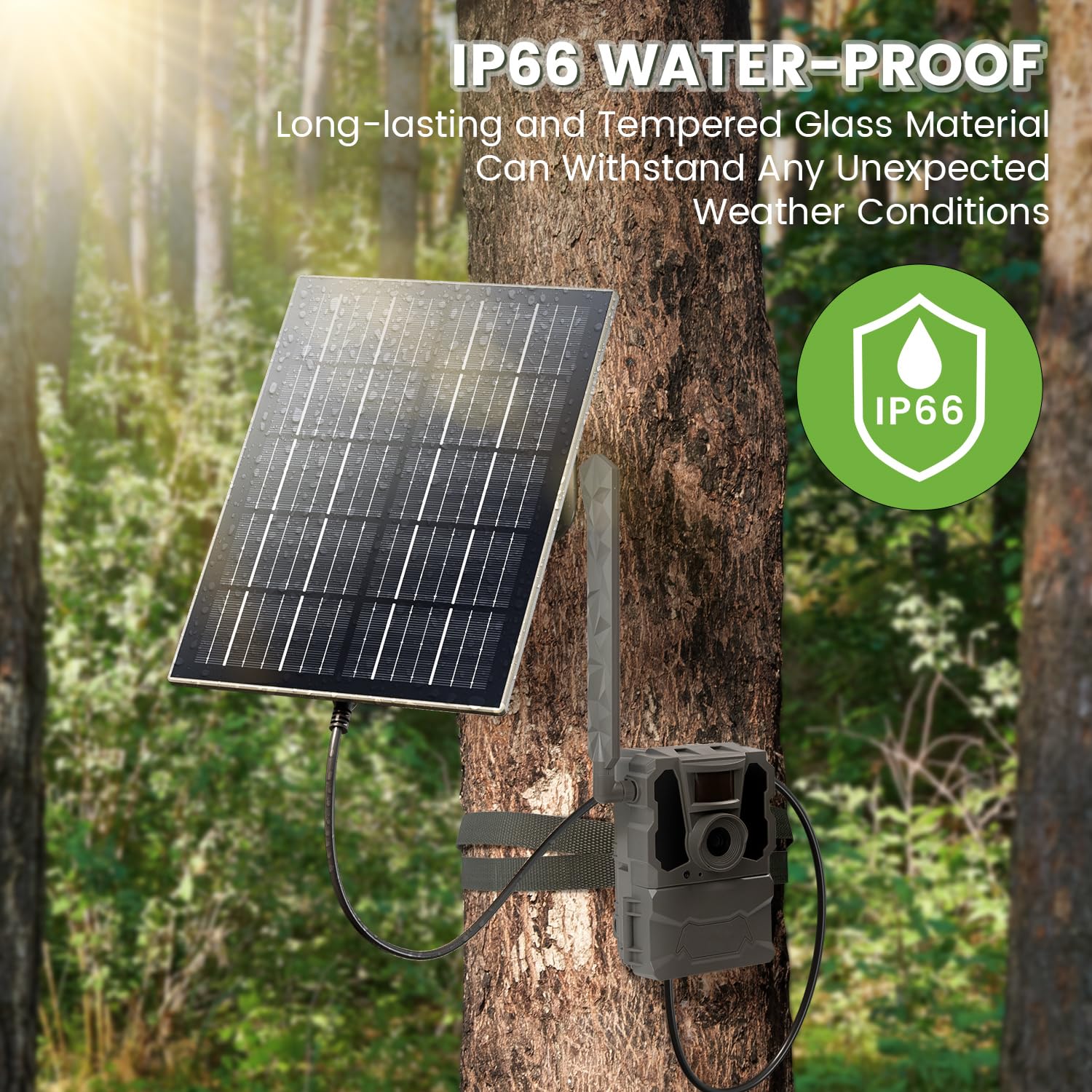 Solarpanel 20000mAh Akku kompatibel mit 12V/6V Wildlifekamera Überwachungskameras 3M Verbindungskabel Wasserdichtes Solarladegerät