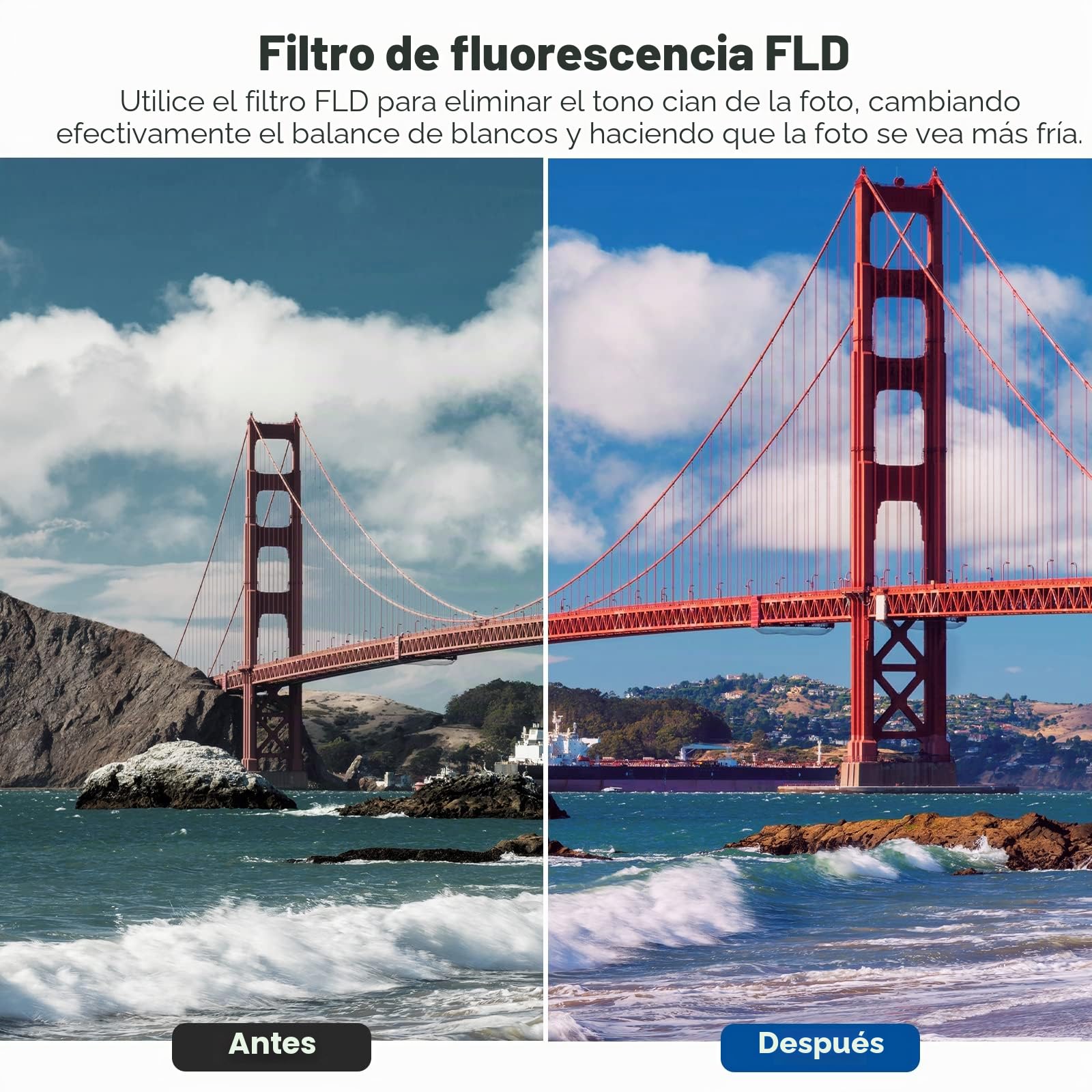 NEEWER Kit de Filtros de Lente de 58mm: UV, CPL, FLD, ND2, ND4, ND8, Parasol y Tapa de Lente Compatible con Canon Nikon Sony Panasonic DSLR Cámaras con Lente de 58mm