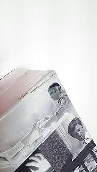 Amazon.co.jp: フランソワ・トリュフォー DVDコレクション (野性