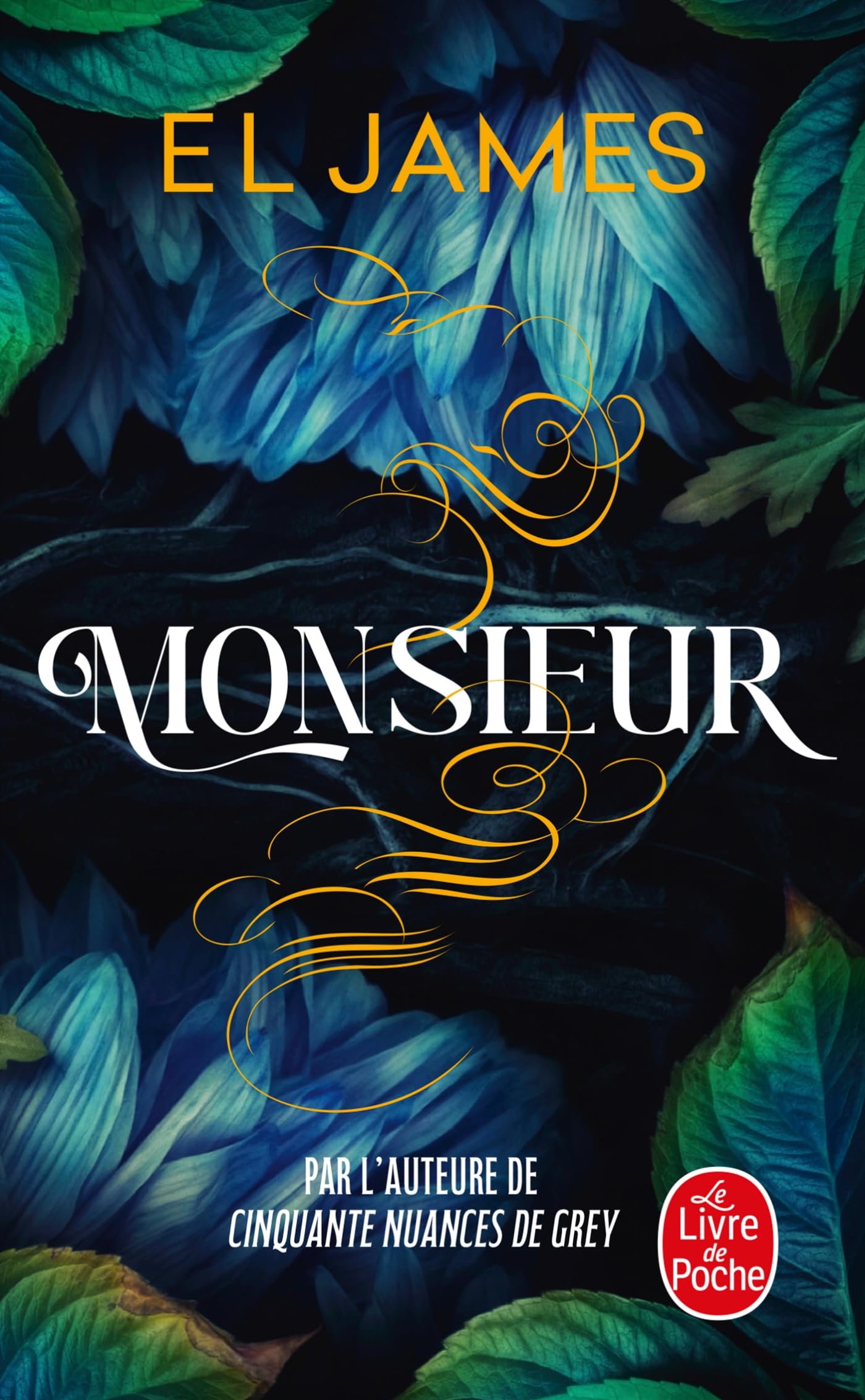 Monsieur