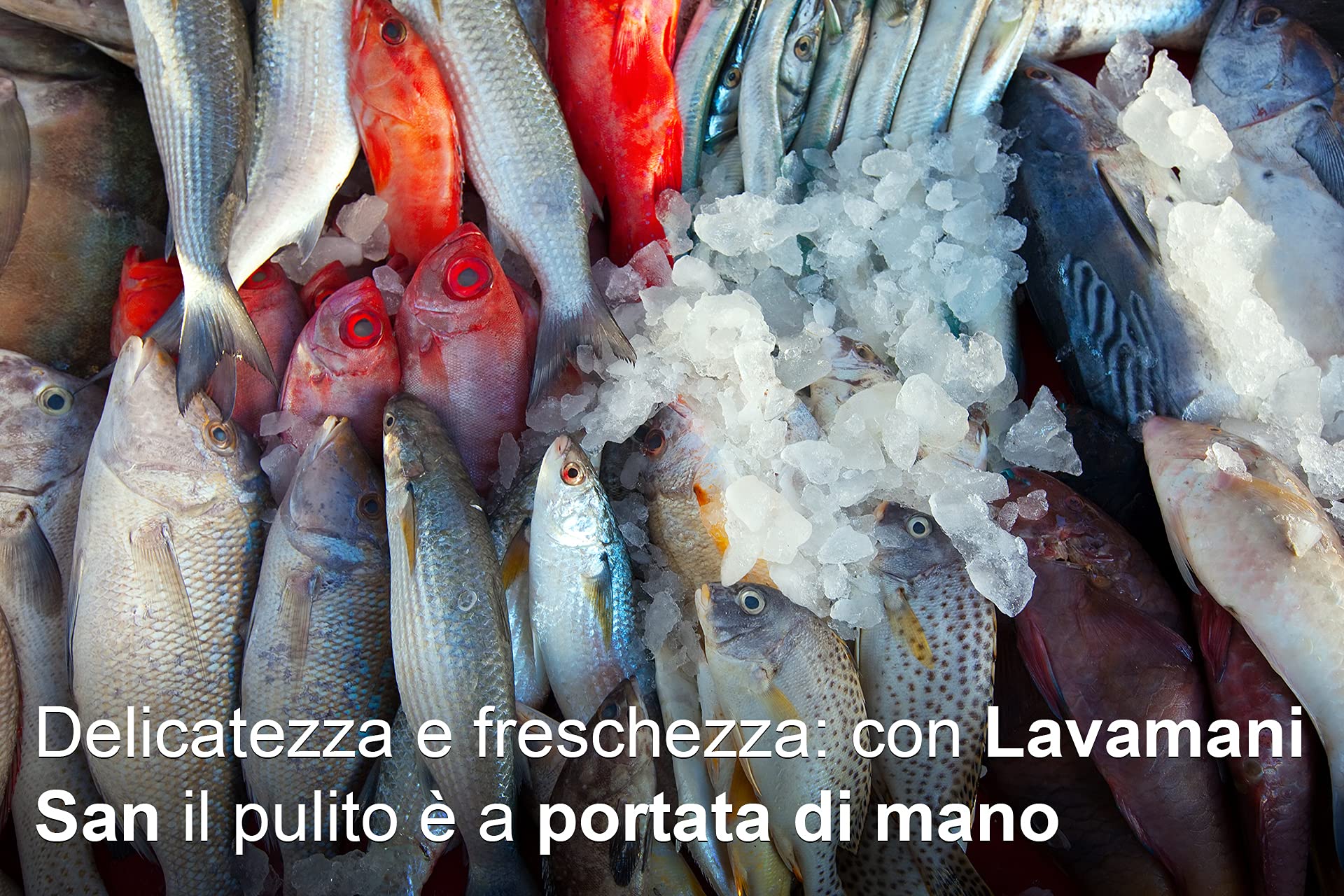 PIP Sapone Cremoso Igienizzante con Antibatterico Lavamani San, Tanica UN LT.5 = Kg. 5,25, PH Fisiologico, Protezione Mani, Idoneo HACCP, Ricarica Risparmio