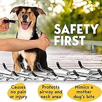 Vista 3 de PetJett Collar de Ahogo para Perros Collar de Entrenamiento Collar de Púas Ajustable para Perro Collar de Liberación Rápida de Pellizco para Perro