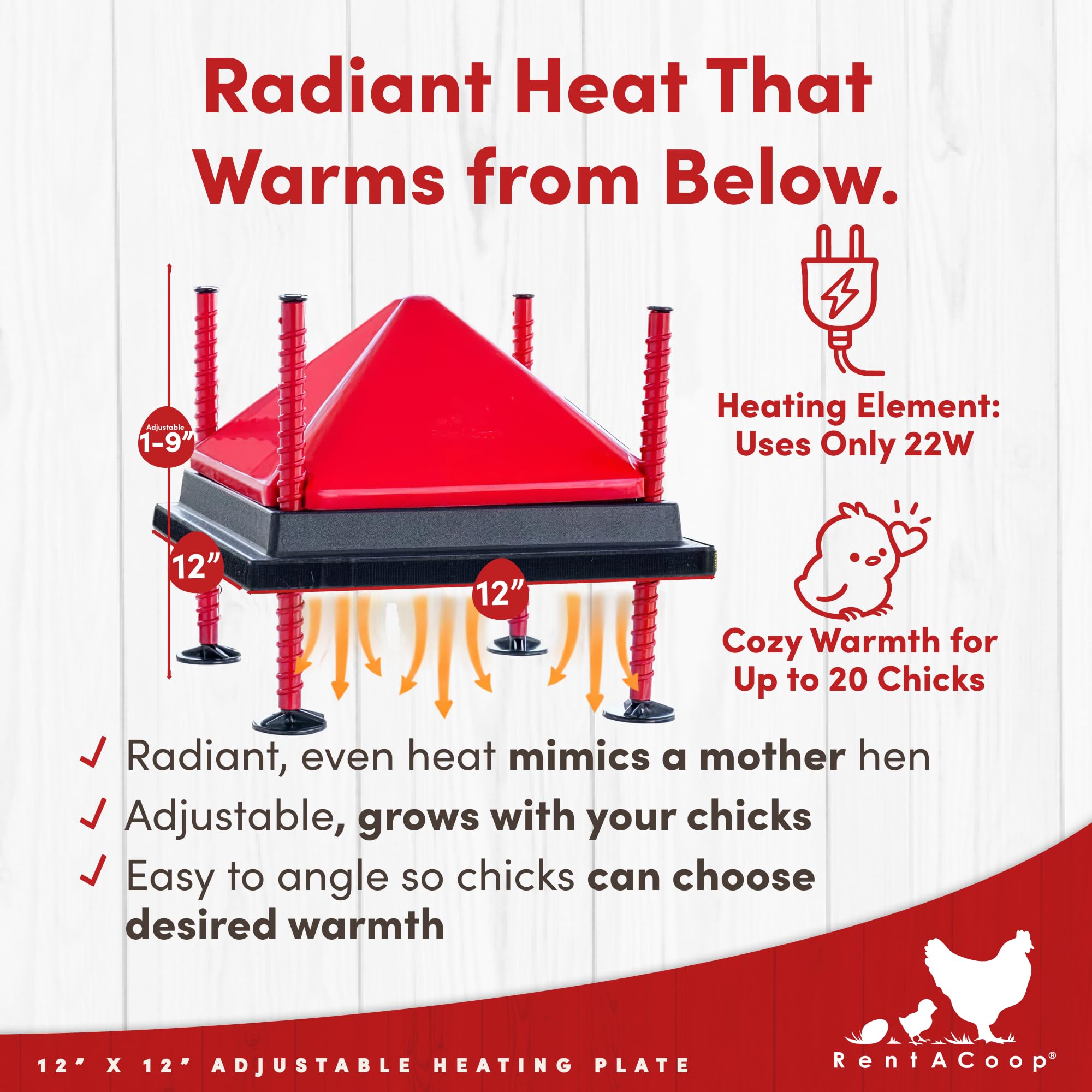 RentACoop 12x12 Adjustable Heating Plate with Hard Anti-Roost Cone Set product thumbnail 3