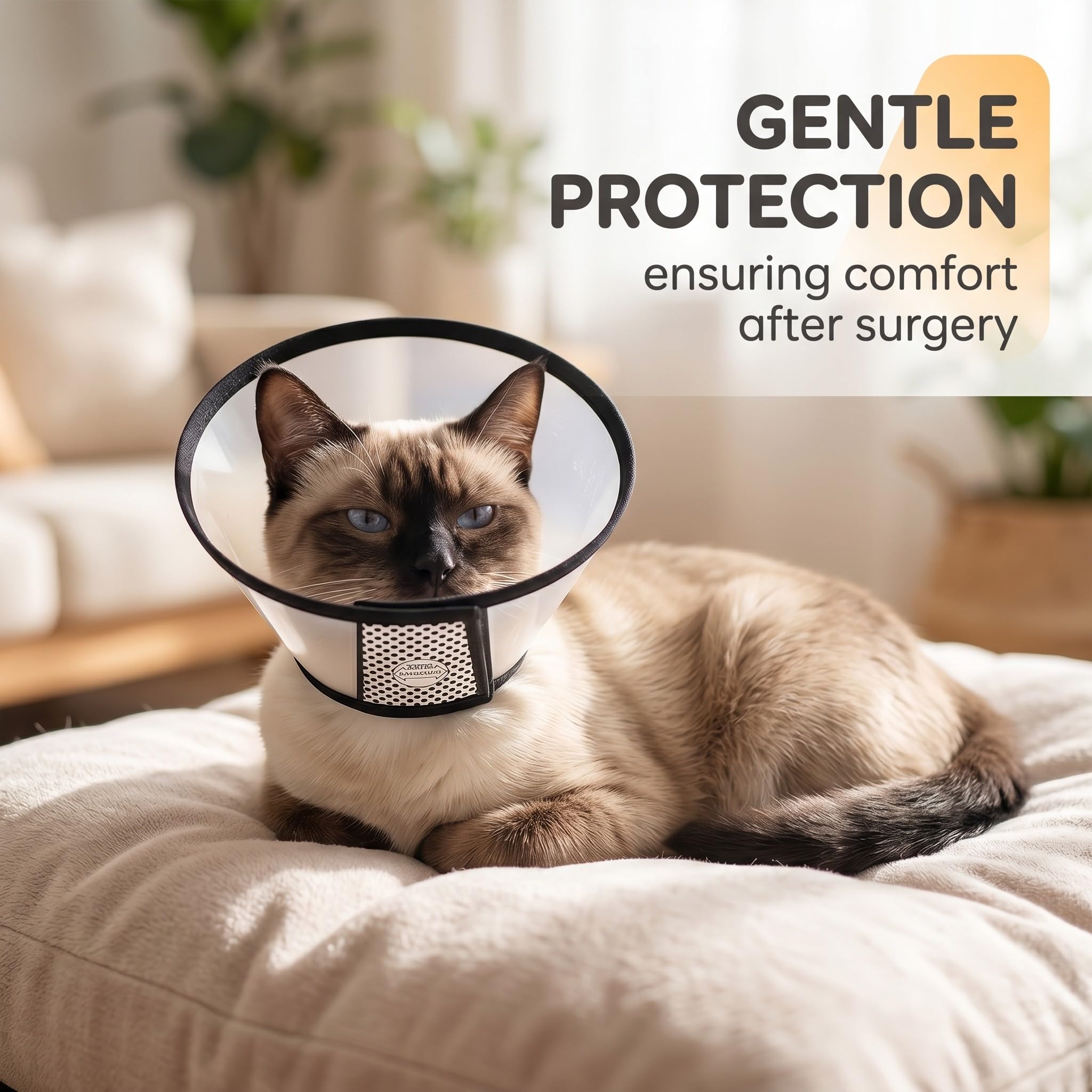 Collerette Chat, 1 Pièce Cône Plastique Protecteur Anti-Morsure, Taille 18-22Cm Noir Et Blanc Pour Chat Adulte