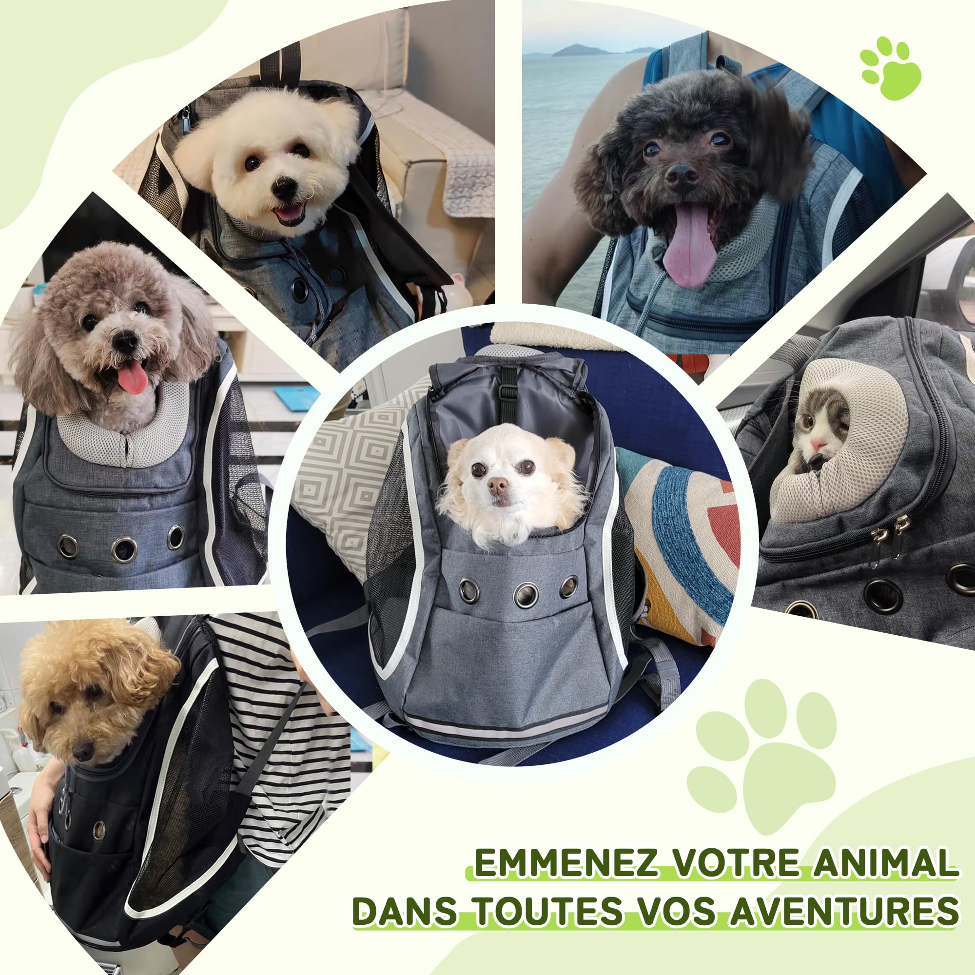 ALLSOPETS Sac à Dos de Transport pour Chien et Chat, Gris Clair | Sac Transport avec Sangle de Sécurité, Confortable pour Petits Chiens et Chats, Idéal pour Voyage, Randonnée et Extérieures