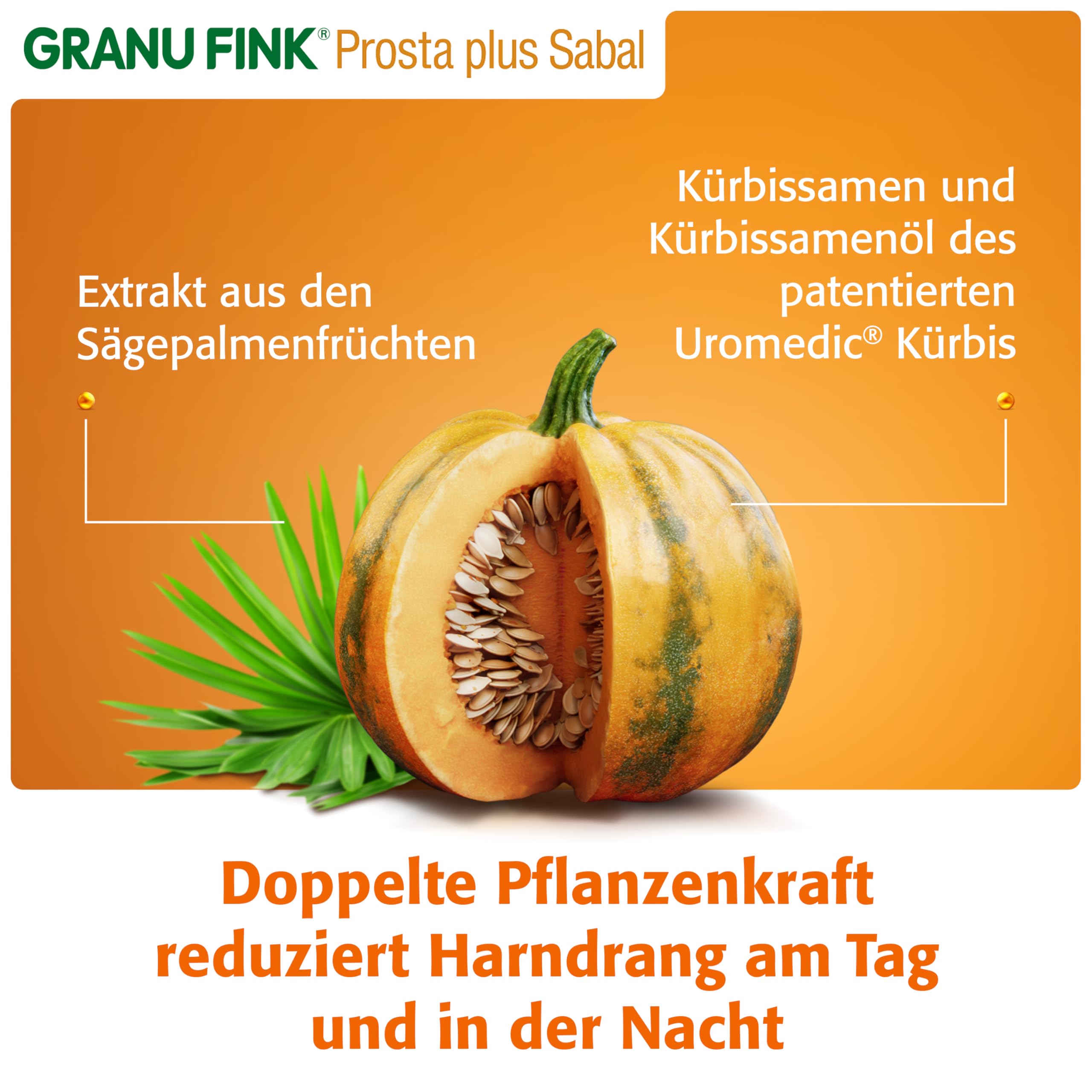GRANU FINK Prosta plus Sabal – Prostata-Kapseln zur Stärkung des Prostata-Blasen-Systems – mit Uromedic Kürbis und Sägepalme – made in Germany – 60 Hartkapseln