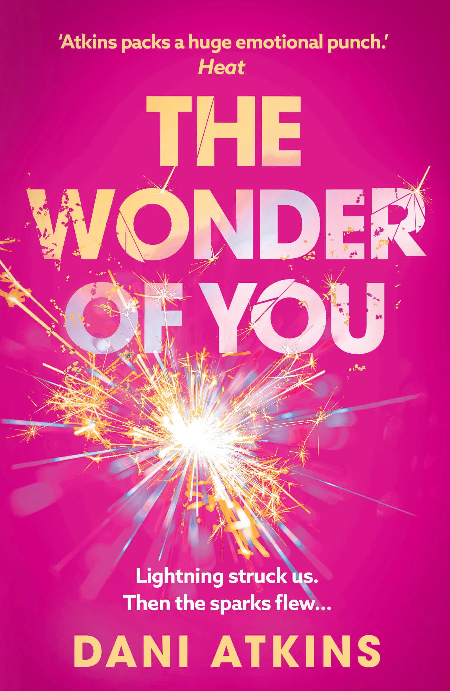 The Wonder of You by Dani Atkins PAPERBACK 9781662539985
