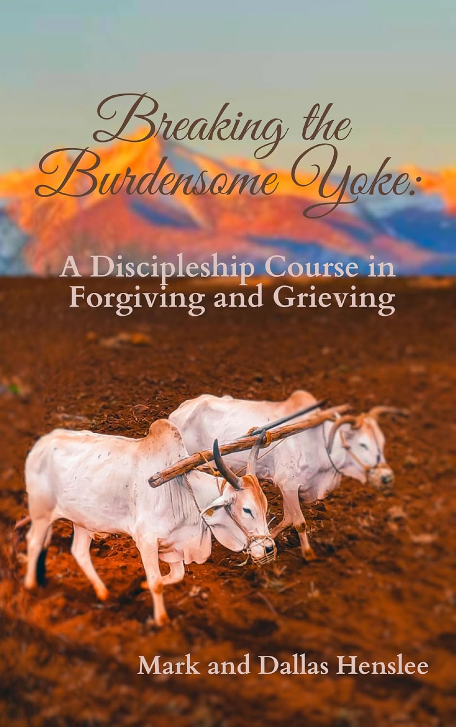 Breaking the Burdensome Yoke: A Discipleship Course in Forgiving and Grieving