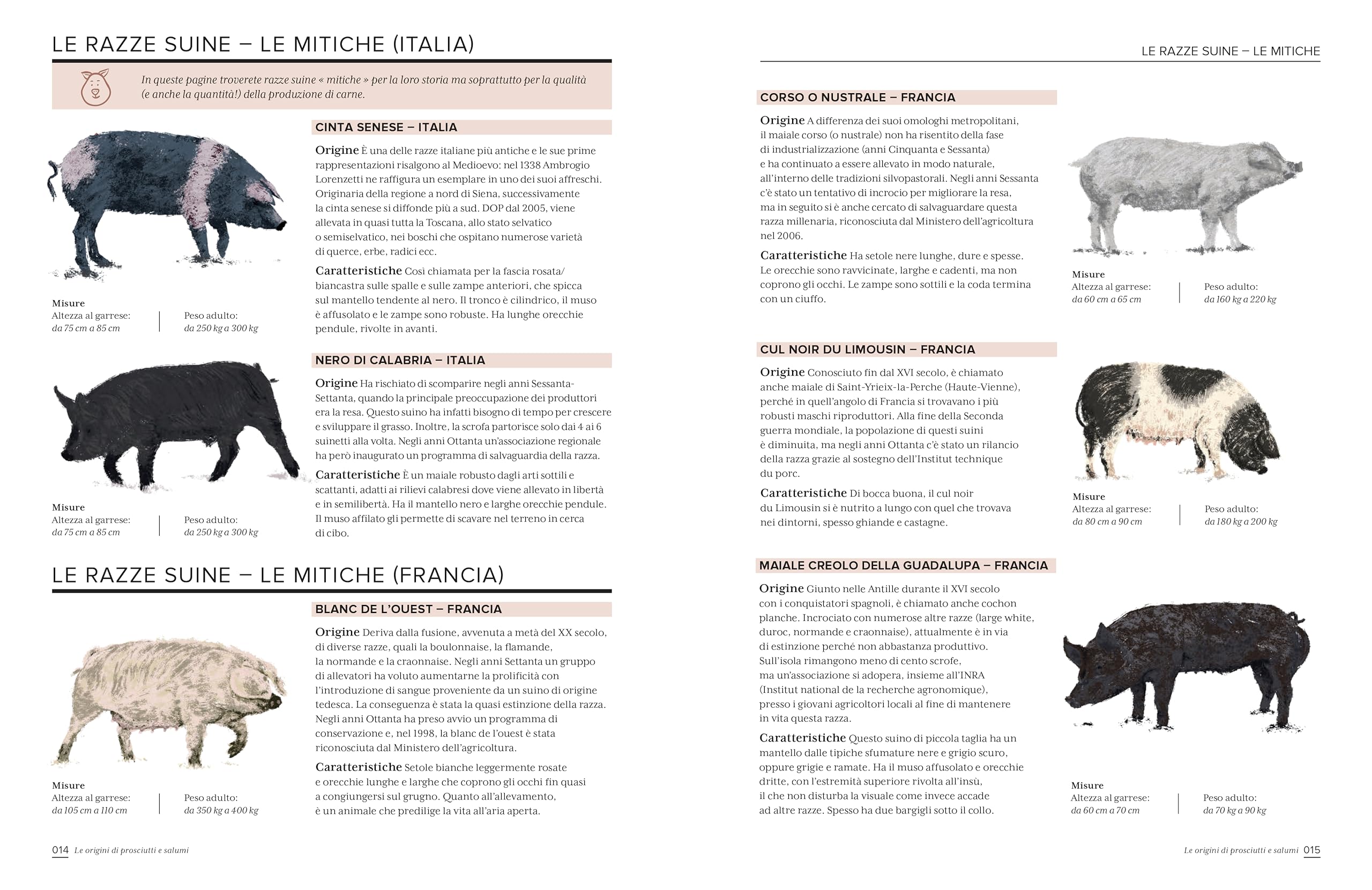 L'atlante illustrato dei prosciutti e salumi. Ediz. a colori