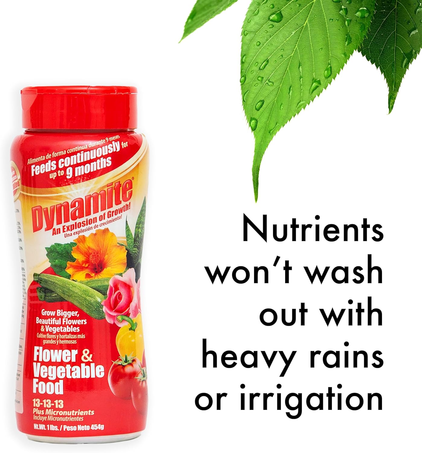 Dynamite Complete Plant Food Flower & Vegetable1 lb (Pack of 4)