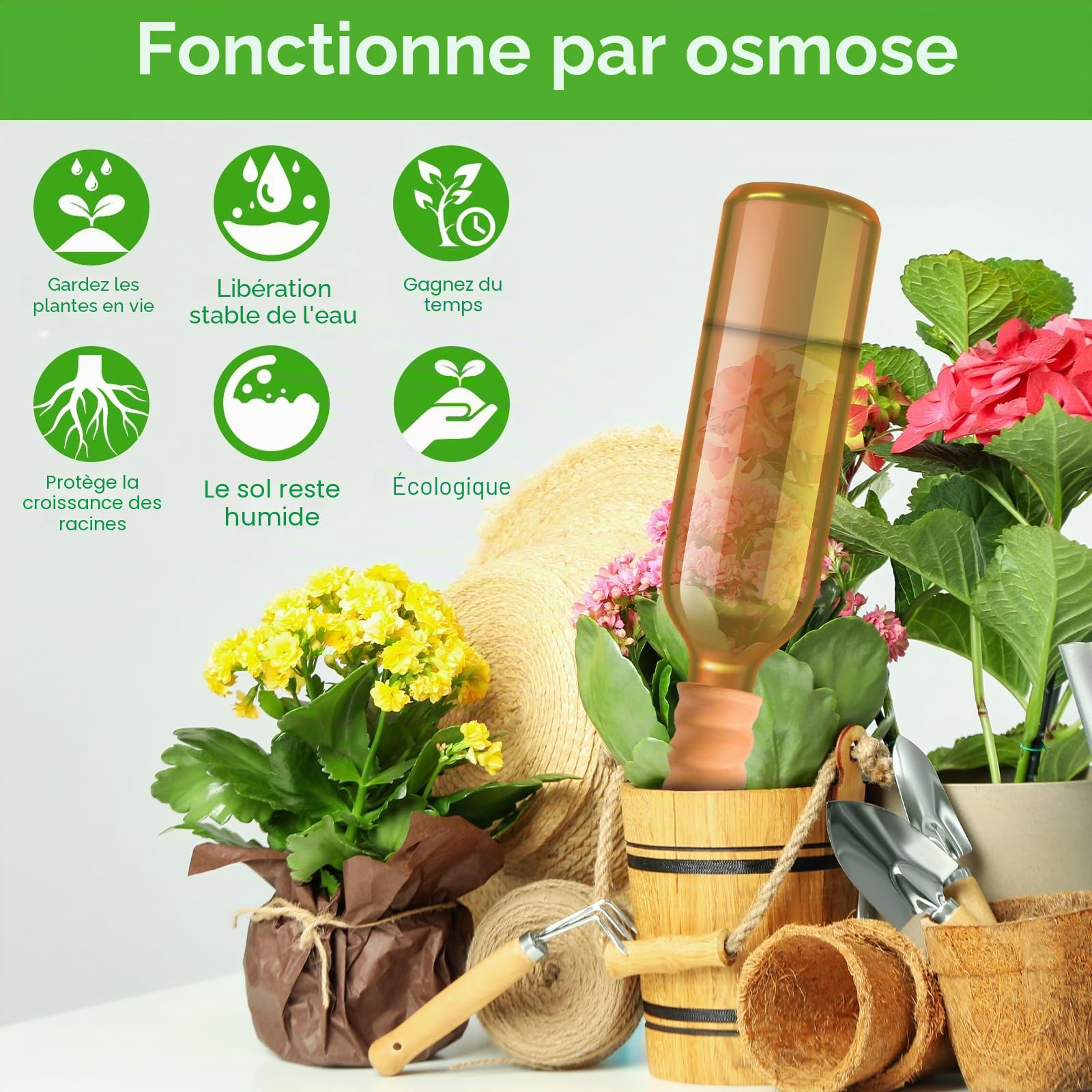 Lot de 8 Cône en Argile d’arrosage, Arrosage en Terre Cuite,Système d'Irrigation Naturel, arrosage Automatique pour Jardin Plantes d'intérieur.jardinières et Plantes en Pot, Terre Cuite,Marro.