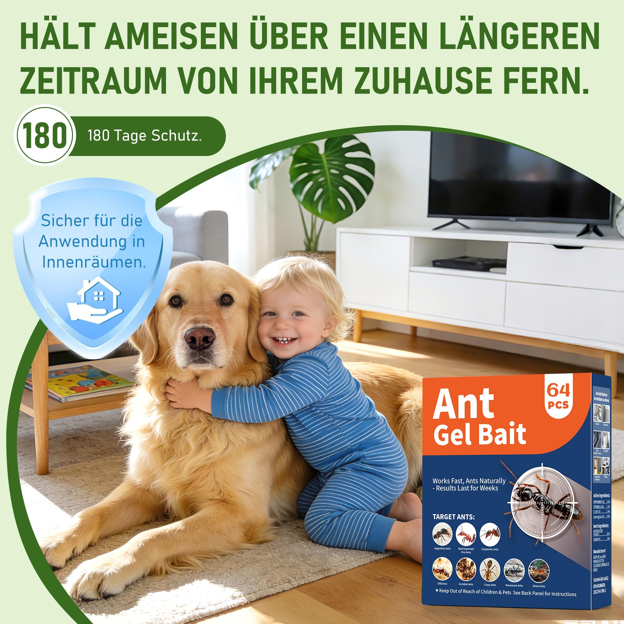 Pièges à fourmis Lot de 64 pour Intérieur Extérieur Jardin Terrasse Animaux Enfants