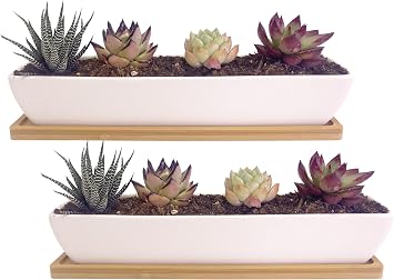 2 pcs 11.1 inch Long Rectangle White Ceramic Succulent Planter Pots/Mini Flower Plant Containers with Bamboo Saucers Plant Window Boxes for Office/Home, 11 x2.28x1.73inch