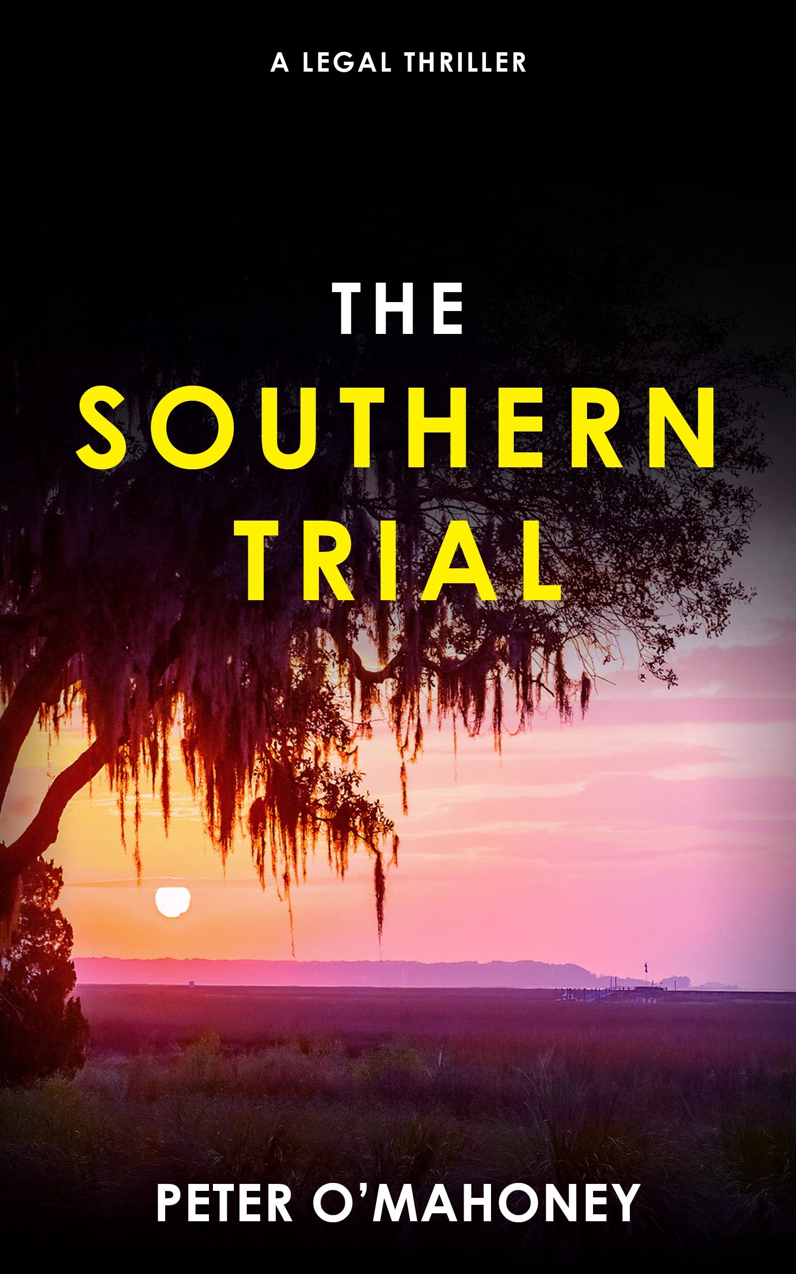 The Southern Trial: An Epic Legal Thriller (Joe Hennessy Legal Thriller Series Book 4)
