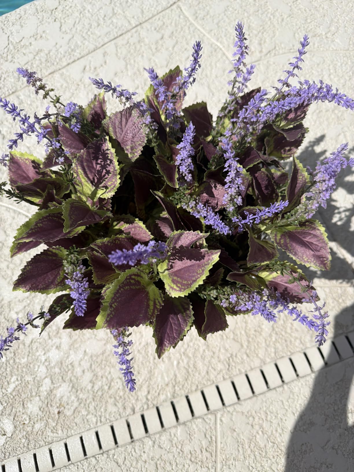 Customer Image