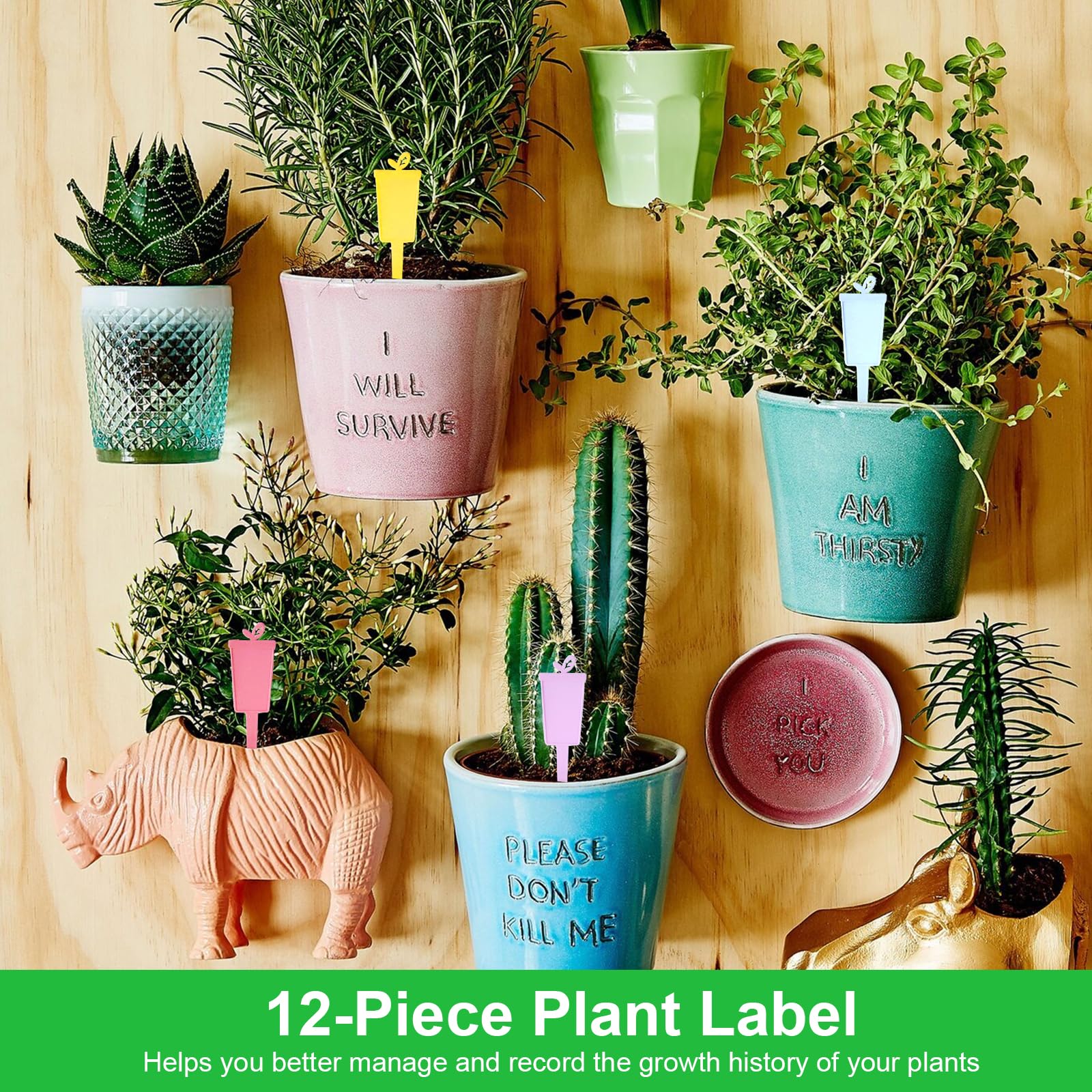 Arrosoir Plante Interieur, 1L Rosoir à Long Bec En Acier