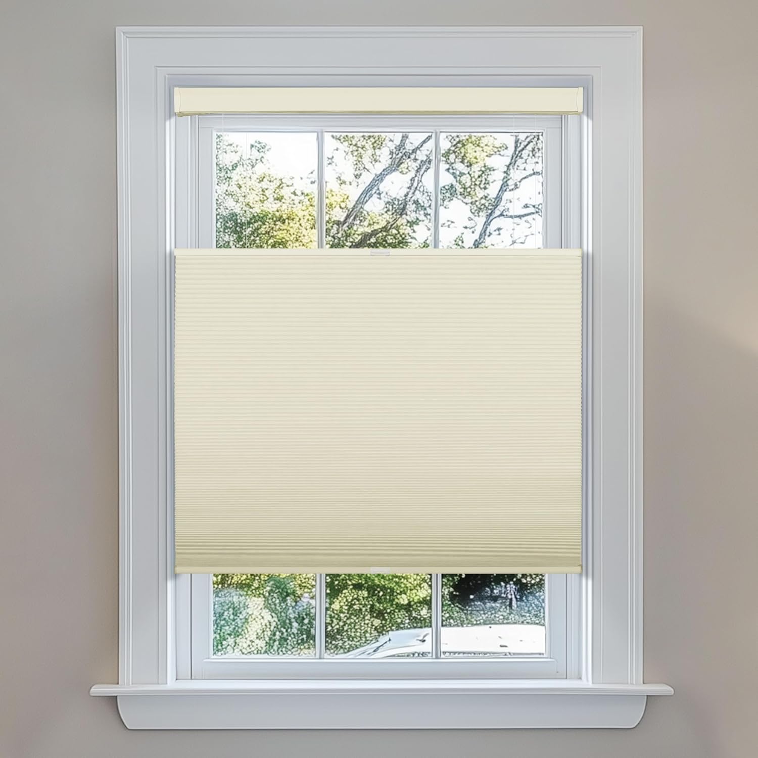 Berissa Top Down Bottom Up Cellular Shades for Glass Door Blackout,Door Blinds for Door Window 1" Fabric Thermal Insulated Room Darkening Privacy for Indoor Windows,Custom Size,Beige