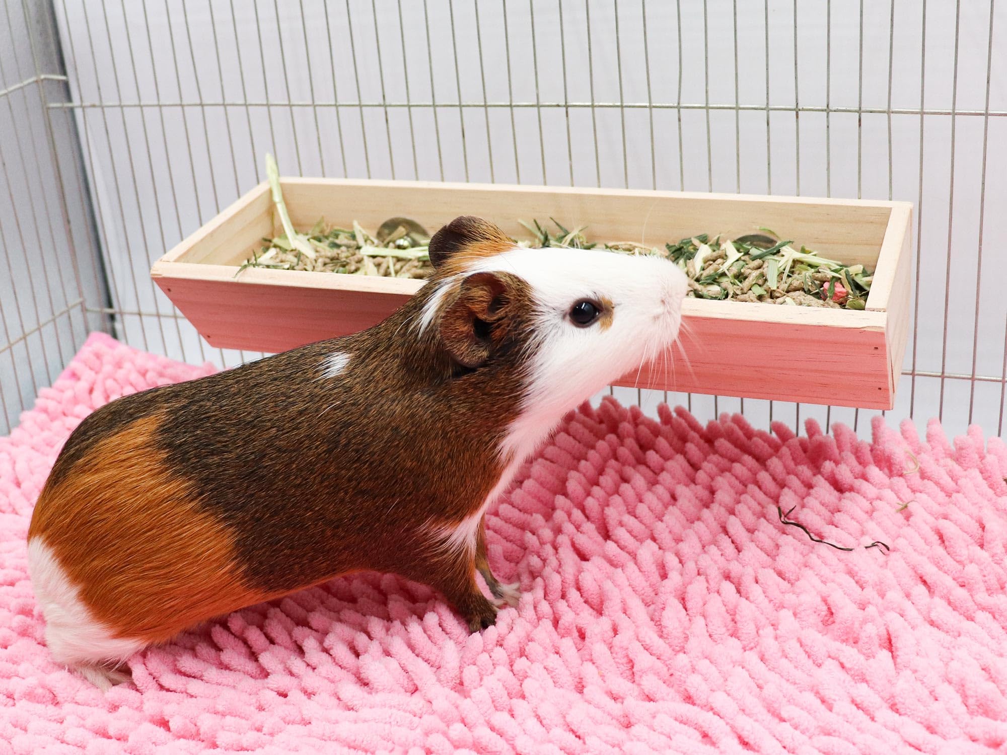Dnoifne Guinea Pig Feeder Box, Wooden Small Animal Food Feeder, Hanging Rabbit Food Bowl, Small Animal Cage Accessories, Suitable for Rabbit Bunny Chinchilla Guinea Pig Hamster