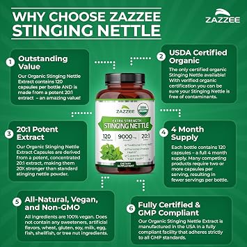 Zazzee USDA Organic Stinging Nettle Leaf 20:1 Extract, 120 Vegan Capsules, 4 Month Supply, Urtica Dioica, Respiratory, Immune & Seasonal Wellness Support, Organic Herbal Supplement, Made in the USA