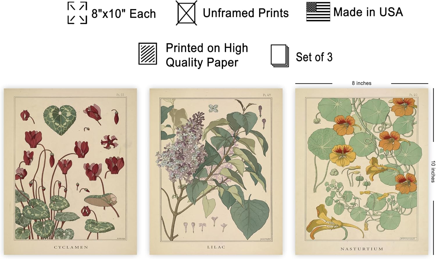 Poster Master 3-Piece Vintage Lilac Print - Retro Botanical Poster - Nasturtium Art - Cyclamen Wall Design - Gift for Men & Women - Decor for Office, Living Room or Bedroom - 8x10 UNFRAMED Wall Art