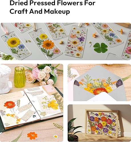 Vista 29 de Resiners - Flores secas, 100 piezas de flores prensadas para manualidades, color amarillo, flores secas naturales, kit de hojas secas