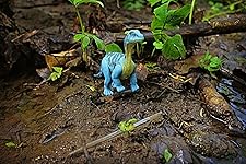 Review Image by David Kowalski David Kowalski