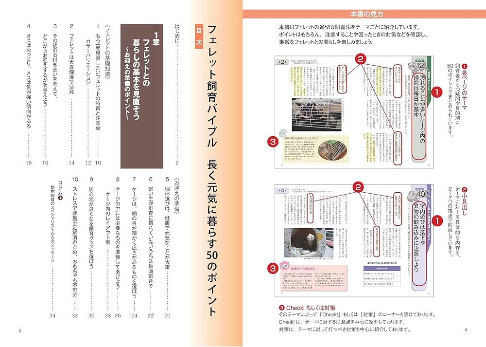 フェレット 飼育バイブル 長く元気に暮らす50のポイント (コツが